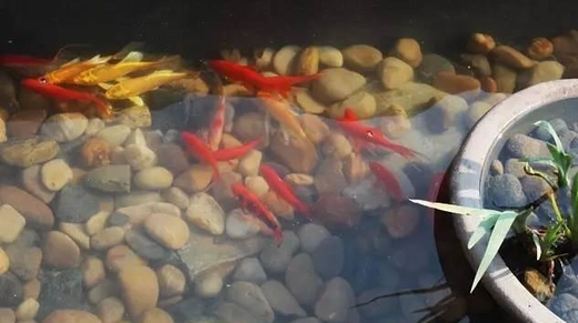 農村別墅裝修